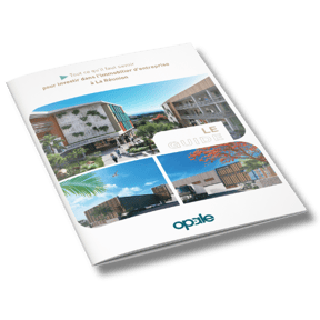 Guide - Investir dans l'immobilier d'entreprise à La Réunion